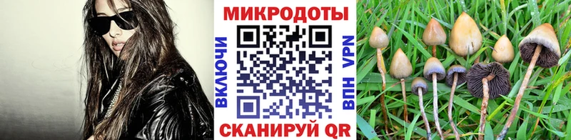 Галлюциногенные грибы MAGIC MUSHROOMS  магазин  наркотиков  Великий Новгород 