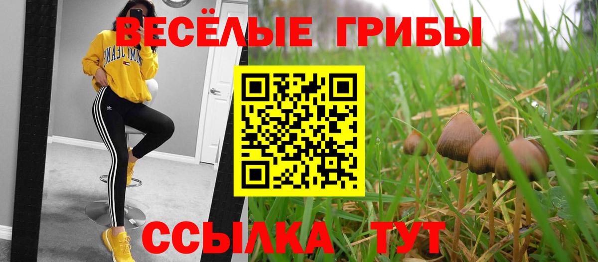 Великий Новгород  Вход с VPN  Меф МЯУ МЯУ   Экстази  ГАШ  Марихуана 