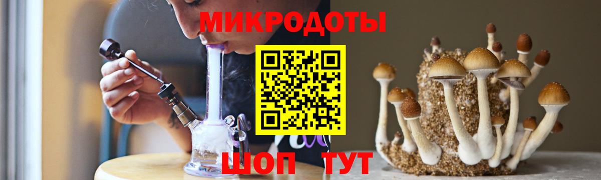купить наркотики сайты  Великий Новгород  Галлюциногенные грибы Magic Shrooms 