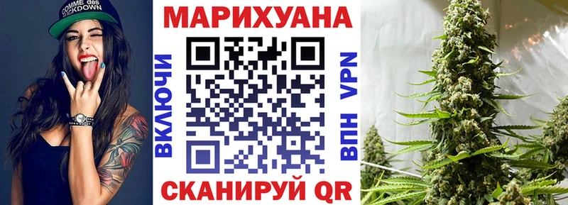 Канабис OG Kush  где купить   Великий Новгород 